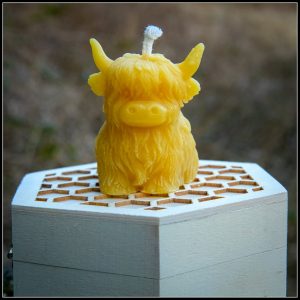 Pure Handmade Beeswax Candle - Highland Cow